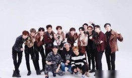 网红王小麦爆料了吗视频